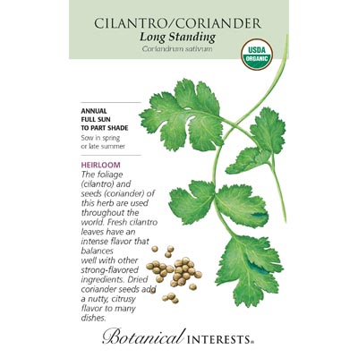 CILANTRO / CORIANDER ORG