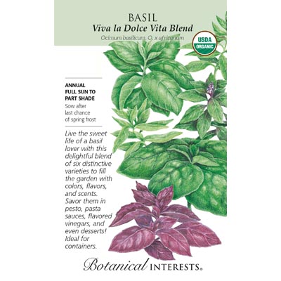 BASIL VIVA LA DOLCE VITA BLND OR