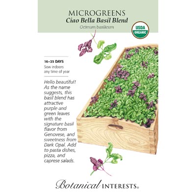 MICROGREENS BASIL CIAOBELLA BLD