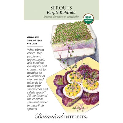 SPROUTS PURPLE KOHLRABI ORG