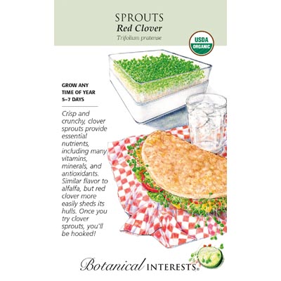 SPROUTS RED CLOVER ORG