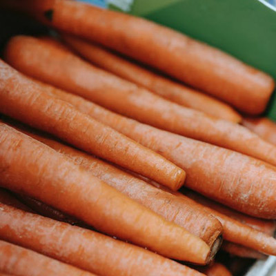 CARROT SEEDS