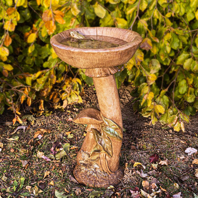 Mushroom Birdbath