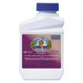 Captain Jack's Deadbug Brew Outdoor Organic Insecticide & Mite Killer, 16 oz. Concentrate