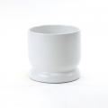 BOWL, MODERN PEDESTAL 5.3" WHITE