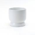 BOWL, MODERN PEDESTAL 6" WHITE