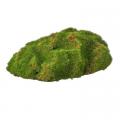 Textured Moss Mound