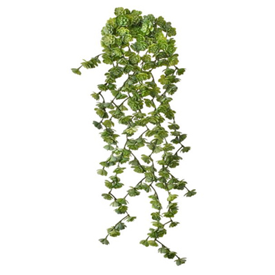 Fresh Touch 22-inch Green Succulent Stem