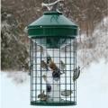 BIRDFEEDER, LG. CAPACITY CAGED