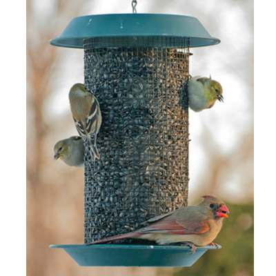 Magnum Sunflower Bird Feeder 