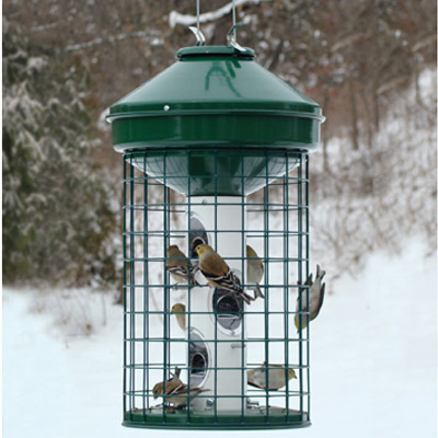 SQUIRREL-PROOF FEEDERS