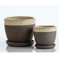 POT, WILD RIM SND/BR 5.5"W X 5"H