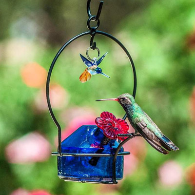  Lunch Pail with Bird Hummingbird Feeder