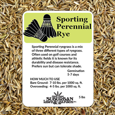 SPORTING PERENNIAL RYE 50 LB