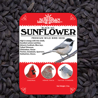 SINGLE VARIETY BIRDSEED