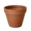 CLAY POT, STANDARD 2.75"