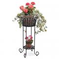 PLANTER, SOLERA BLACK