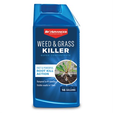 WEED GRASS KILLER, BIOADV 32OZ C