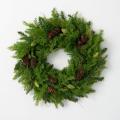 Cedar and Hemlock Wreath - 22"