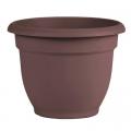 PLANTER, 6" ARIANA MERLOT