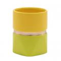 PLANTER, YELLOW/GREEN 2.75"WX3.7