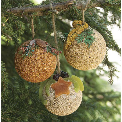 BIRD TREAT, FRUIT ORNAMENT BALL