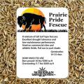 PRAIRIE PRIDE FESCUE 3 LB