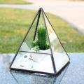 TERRARIUM, BLACK PYRAMID 7.5"H