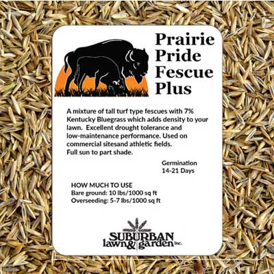 PRAIRIE PRIDE FESCUE PLUS 3 LB