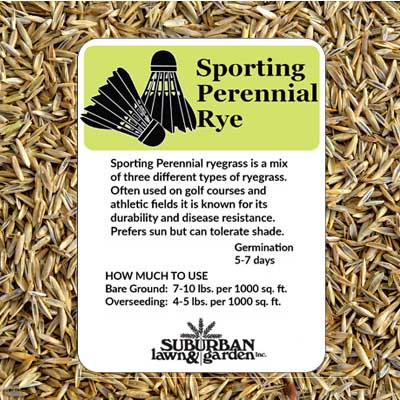 SPORTING PERENNIAL RYE 3 LB