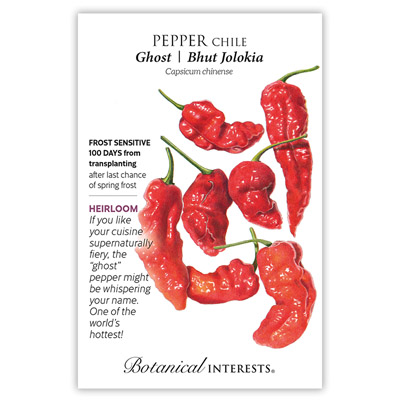 PEPPER CHILE GHOST BHUT JOLOKIA