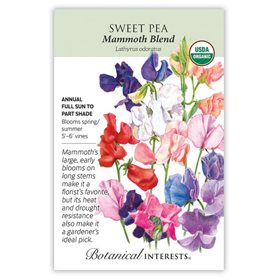 SWEET PEA MAMMOTH ORG