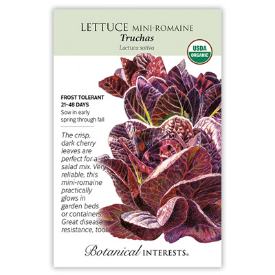 ROMAINE LETTUCE LITTLE GEM RED