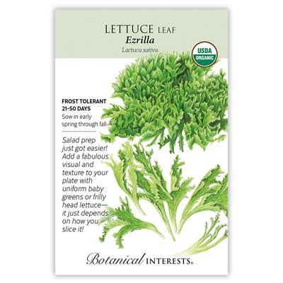 LETTUCE EAZYLEAF EZRILLA ORG