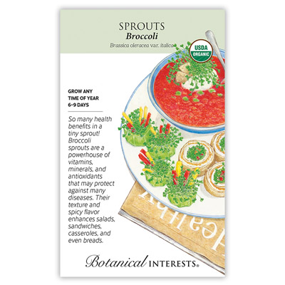 SPROUTS BROCCOLI ORG