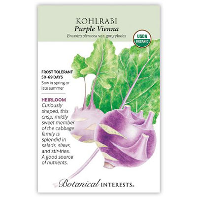 KOHLRABI PURPLE VIENNA ORG