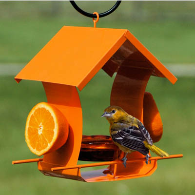 Oriole Metal House Bird Feeder 