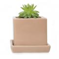 POT, CUBE & SAUCER TAN 3"