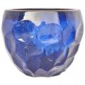 PLANTER, 7.1" HALLOW RND LT BLUE