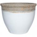 PLANTER, 16" FLAT RIM VOL WHIT