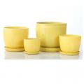 PLANTER, SASHA YELLOW XLG 14.5"W