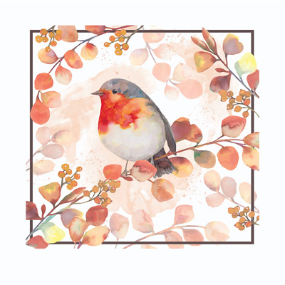 Friends Robin Pillow