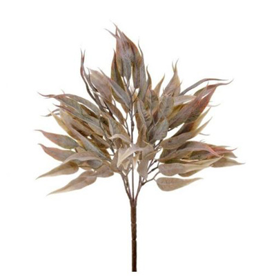 Willow Eucalyptus Bush, 14"