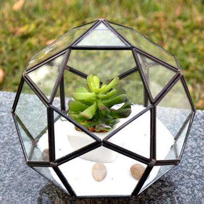 GLASS TERRARIUMS