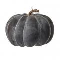 Black Weathered Pumpkin