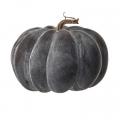 Black Weathered Pumpkin