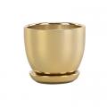 Gold Pot with Saucer