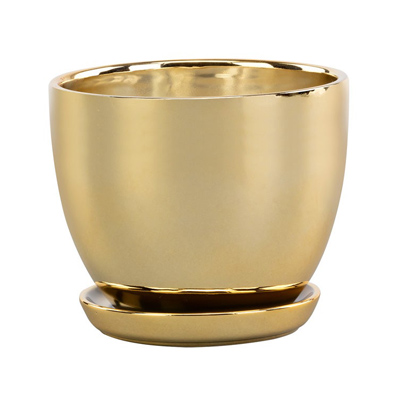 Large Gold Pot with Saucer