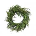 Cyprus Norfolk Pine Wreath