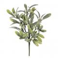 Frosted Mistletoe Berry Pick